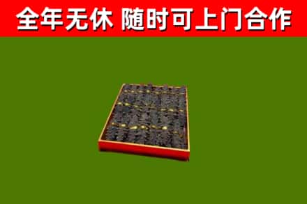 泸定县回收海参